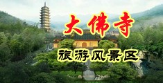 337人体掰穴艺术性愛视频中国浙江-新昌大佛寺旅游风景区